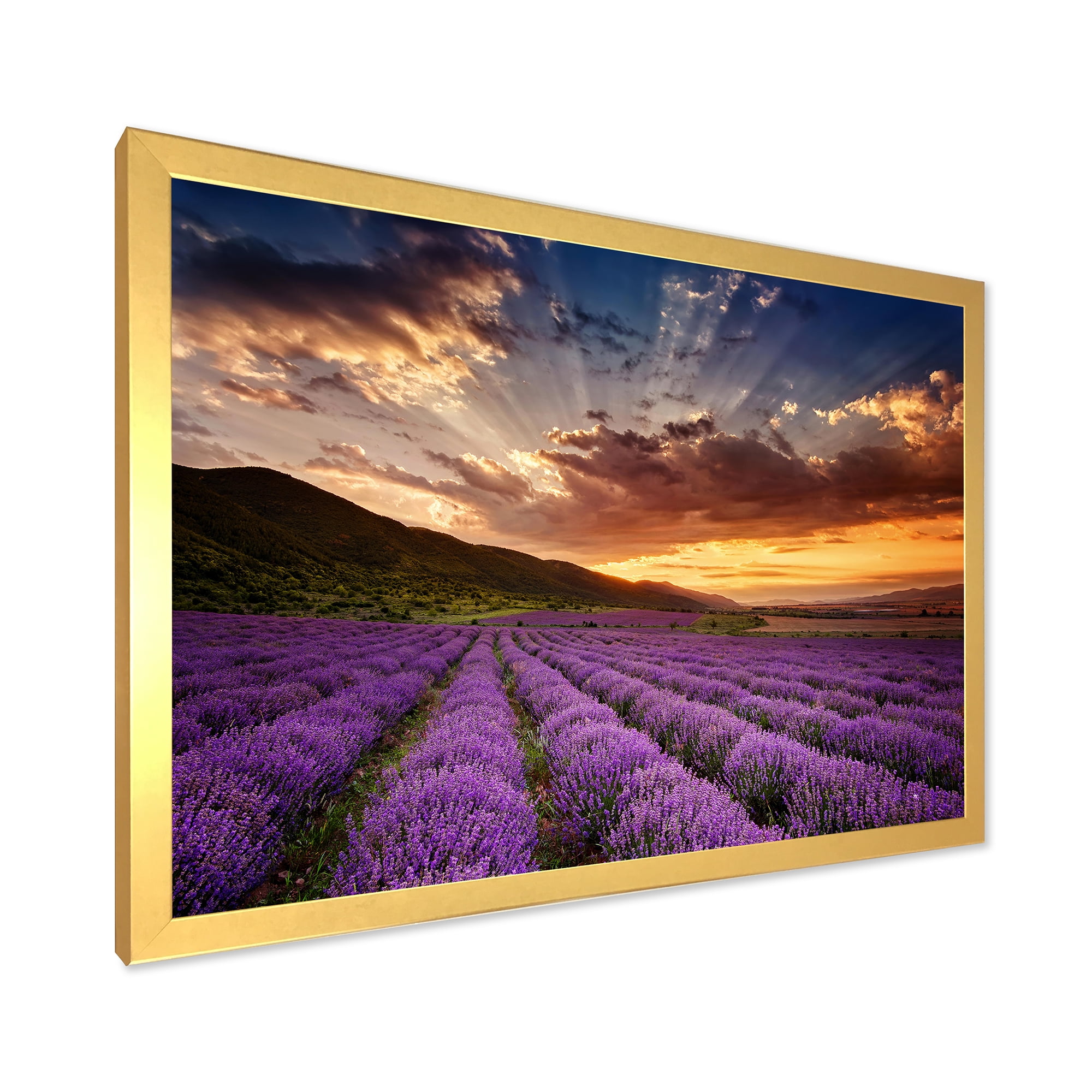 Designart 'Dramatic Clouds and Sunrise Over Lavender Field X' Farmhouse Framed Art Print