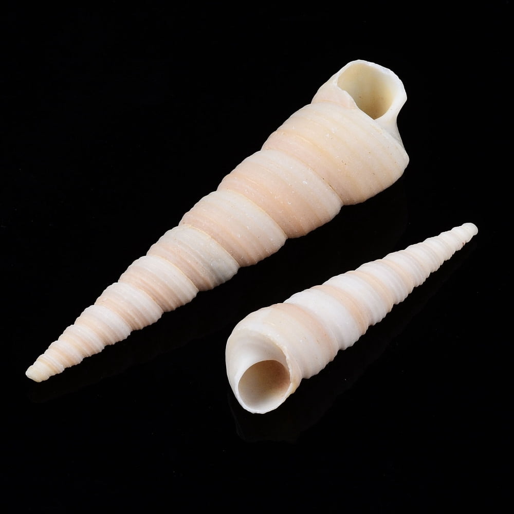 500gs Spiral Shell Beads Turritella Shell Undrilled/No Hole Beads White 29~72x9~20mm