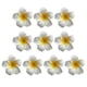 thumbnail image 1 of 10 horquillas para el pelo de 7 cm con forma de flor hawaiana, simulación de huevo, para fiesta luau en la playa (blanco con amarillo), 1 of 6