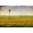 thumbnail image 2 of Vest, Christopher 14x11 White Modern Wood Framed Museum Art Print Titled - High Plains Sunflowers, 2 of 4