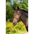 thumbnail image 2 of Shires Avignon Middleburg Bridle (Havana, Cob), 2 of 2