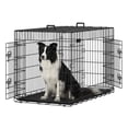 thumbnail image 4 of Feandrea Cage pour Chien, Chenil Pliable de 48 Pouces avec 2 Portes, Plateau Amovible, Cage en Métal pour Chien, TTG, Noir UPPD48H, 4 of 9