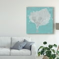 thumbnail image 3 of Trademark Fine Art 'Graphic Sea Fan VIII' Canvas Art by Studio W, 3 of 4