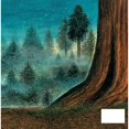 thumbnail image 2 of Sequoia, 2 of 3