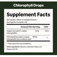 thumbnail image 6 of Black Girl Vitamins Liquid Chlorophyll Drops – Mulberry Leaf + Chlorophyllin with Peppermint, Vegan Liquid Concentrate, Supports Digestive Comfort & Healthy-Looking Skin (4-Month Supply), 6 of 6