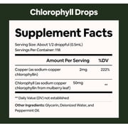 Black Girl Vitamins Liquid Chlorophyll Drops – Mulberry Leaf + Chlorophyllin with Peppermint, Vegan Liquid Concentrate, Supports Digestive Comfort & Healthy-Looking Skin (4-Month Supply)