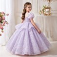 thumbnail image 5 of LEKWK Girls Princess Dress Sequin Puff Short Sleeve Sheer Mesh Tiered Pageant Gown Embroidery Ruffle Cute Dress for Flower Girl Wedding Birthday Party 3-14Y, 5 of 6