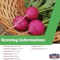 thumbnail image 2 of Harris Seeds - Radish Seeds Amethyst Variety White Flesh Roots - 5,000 Seeds, 2 of 6