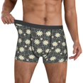 thumbnail image 2 of Cauagu Daisies Flowers Print Boxer Briefs for Men,Comfortable Breathable Men's Underwear Moisture Wicking Underpants -Large, 2 of 8