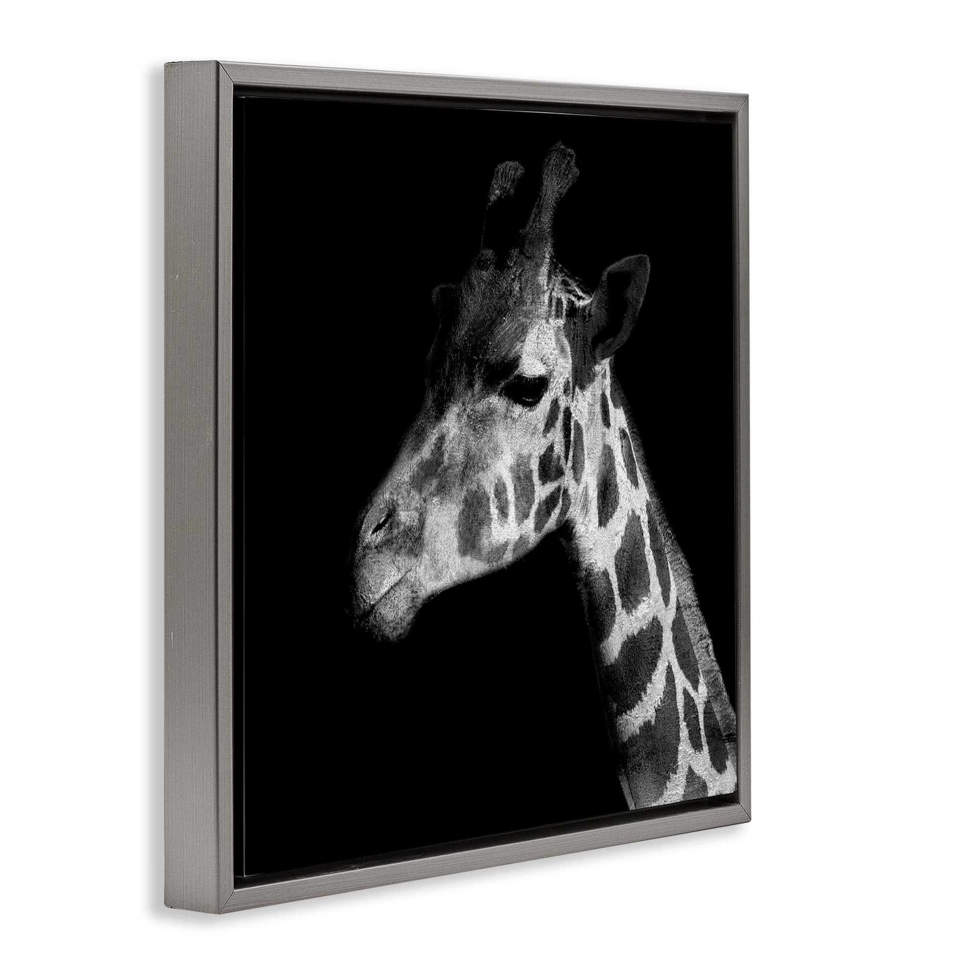 Stupell Industries Jungle Giraffe Portrait Animals Photography Gray Floater Framed Canvas Art Print Wall Art, 25 x 25