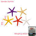 thumbnail image 3 of Simulación de estrellas de mar, acuario de coral, paisajismo, observación de agua, césped, estrellas de mar, pareja, pez y camarón, paquete pequeño, micropaisaje, 3 of 4