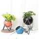 thumbnail image 2 of Modern Round Metal Flower Vase With Succulent Plant Stand Decorative Indoor And Outdoor Flowerpot (orange), 2 of 3