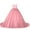 Light Pink, variant on Tulle Flower Girl Princess Wedding Lace Applique Pageant Dresses Long Girls Party Ball Gown, Sized 2-14T