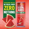 thumbnail image 3 of The True 100% Juice Sparkling Watermelon, 4pack, No Added Sugar, 8.45 fl oz can, 3 of 7