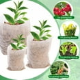 thumbnail image 4 of 100/500PCS Biodegradable Grow Bags Plant Grow Nursery Bag Non-woven Fabric Seeds Pockets Plant Cultivation Pouches Garden Tools, 4 of 9
