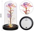 thumbnail image 3 of RYLZX Christmas Rose Gifts for Women,Birthday Gifts for Women Mom Christmas,Flowers for Delivery Prime,Colorful Light Up Rose in A Glass Dome,Anniversary Rose Gift for Her Grandma Valentines Day, 3 of 9
