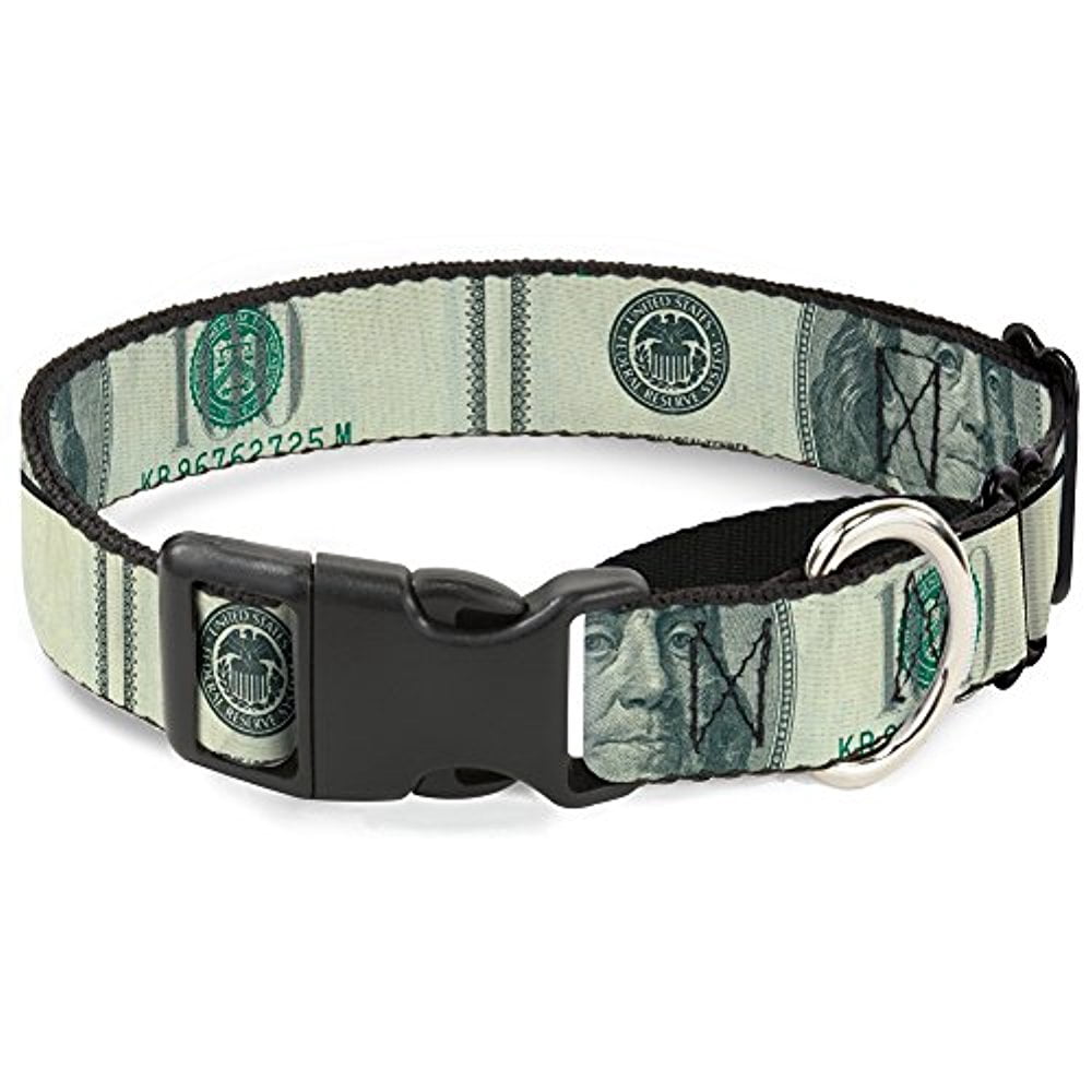 Buckle-Down 100 Dollar Bill Close-Up Martingale Dog Collar