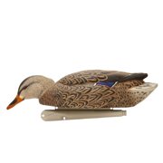 Avian X Topflight Mallard Duck, 6 Pack, Early Season Teal Decoys, 6 Pack