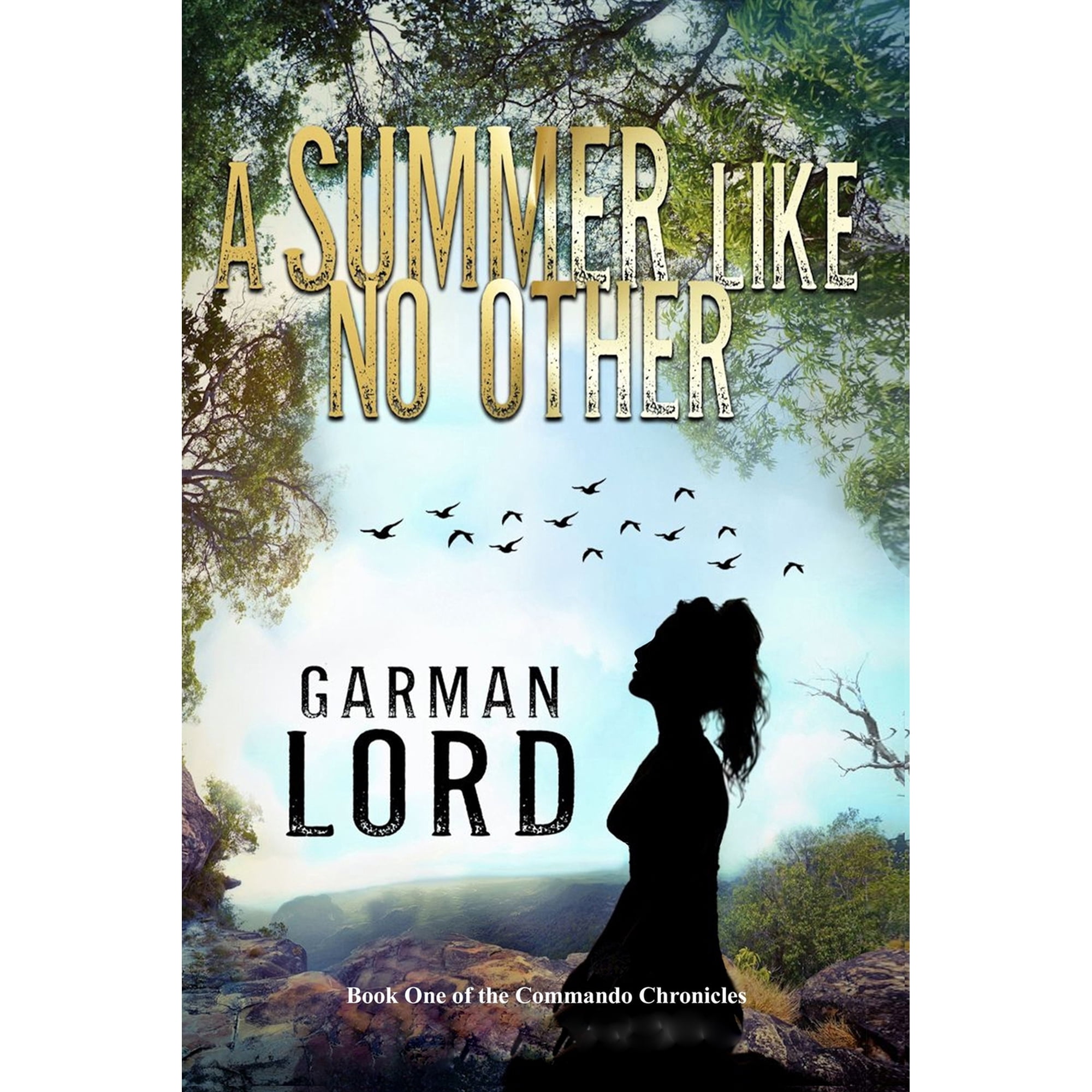 Commando Chronicles: A Summer Like No Other (Paperback)