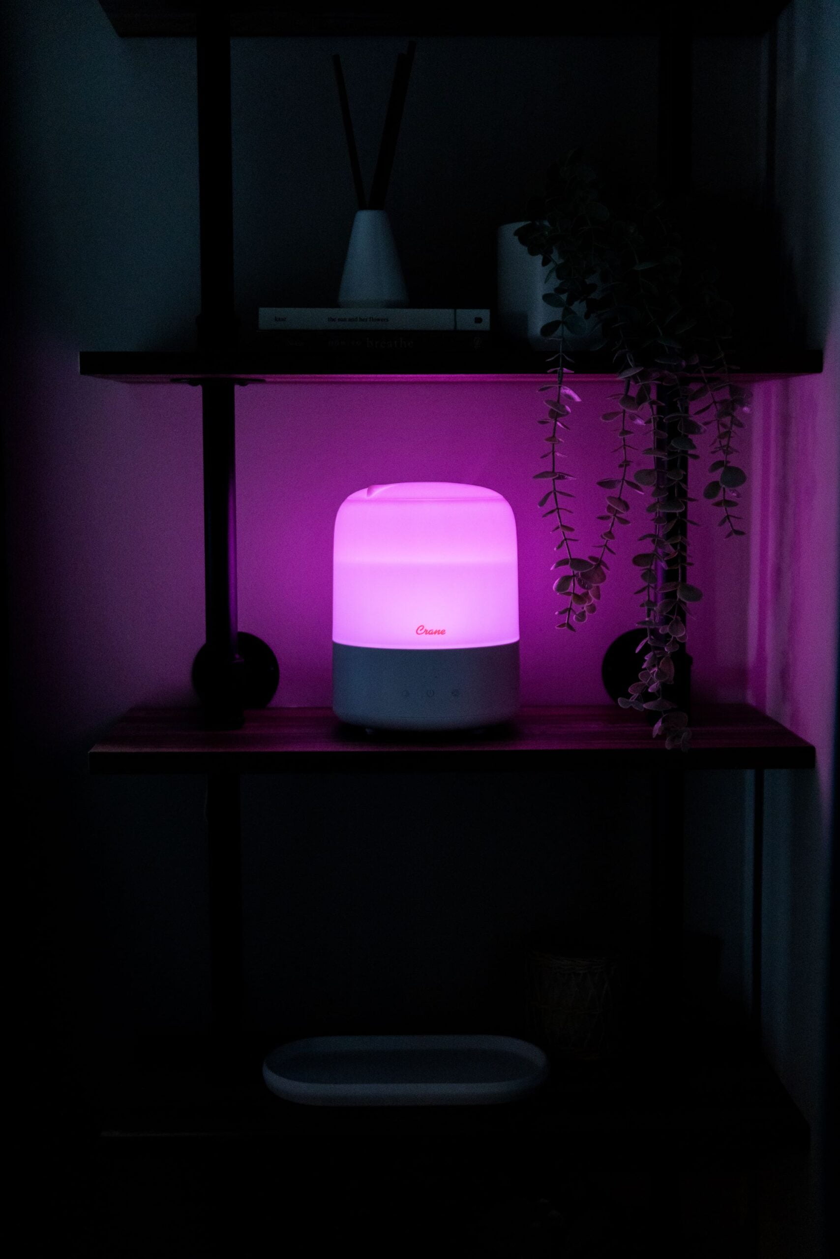 Compact 3-in-1 Cool Mist Humidifier, 0.5 Gallon Portable Room Humidifier with Sleep Support Night Light, Essential Oil Aroma Tray, Small Bedroom & Nursery Moisture Control