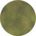 thumbnail image 1 of Ahgly Company Machine Washable Indoor Round Transitional Dark Golden Rod Brown Area Rugs, 3' Round, 1 of 7