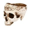 thumbnail image 4 of Inevnen Skull Planter Suger Holder Resin Flower Succulents Pot Skeleton Flowerpot Candy Bowl Halloween Dish Statue Sculpture, 4 of 8