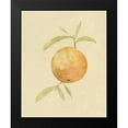 thumbnail image 2 of Caroline, Emma 20x24 Black Modern Framed Museum Art Print Titled - Dappled Oranges III, 2 of 5