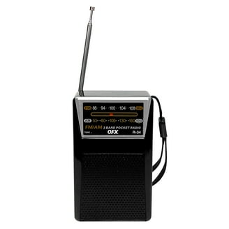 SANSUI F28 Mini Elderly FM Radio Outdoor Wireless Bluetooth