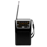 QFX Battery Portable AM/FM Radios