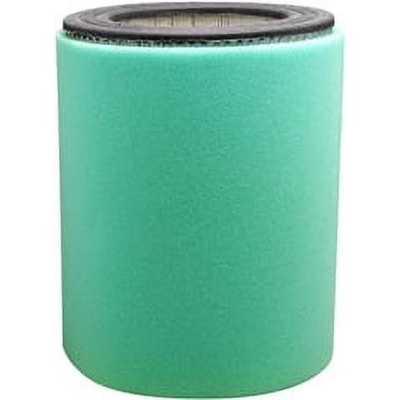 Air Element with Foam Wrap Baldwin PA3956