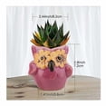 thumbnail image 5 of 6 piezas de macetas de plantas suculentas, Mini búho, maceta de cerámica para flores, bonsái en maceta, regalo de Cactus, decoración de ventanas para mesa de oficina en casa brillar Electrónica, 5 of 5