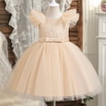 thumbnail image 2 of WRKEKC Robes d'Été pour Filles, Robe Décontractée pour Filles, Robe d'Été Sans Manches à Volants en Dentelle Col Rond Broderie en Maille Princesse avec Nœud 3 Ans, 2 of 5
