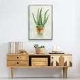 thumbnail image 6 of Succulent IV Framed Premium Gallery Wrapped Canvas - Ready to Hang - 27 x 41 - Silver Floating Frame, 6 of 9