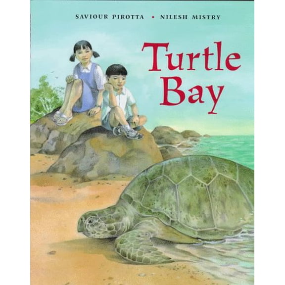 Pre-Owned Turtle Bay (Hardcover) 0374378886 9780374378882