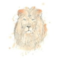 thumbnail image 3 of Vess, June Erica 15x18 Black Modern Framed Museum Art Print Titled - Blush Savannah III, 3 of 5