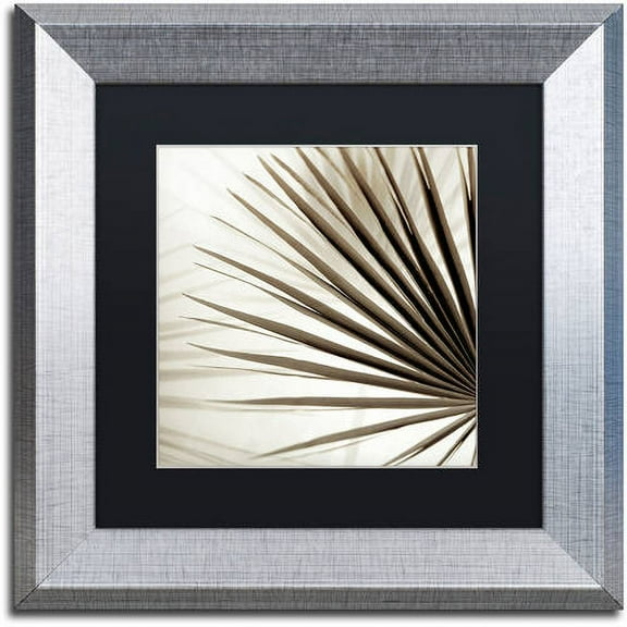 Trademark Fine Art "Florison 66" Canvas Art by Alan Blaustein, Black Matte, Silver Frame