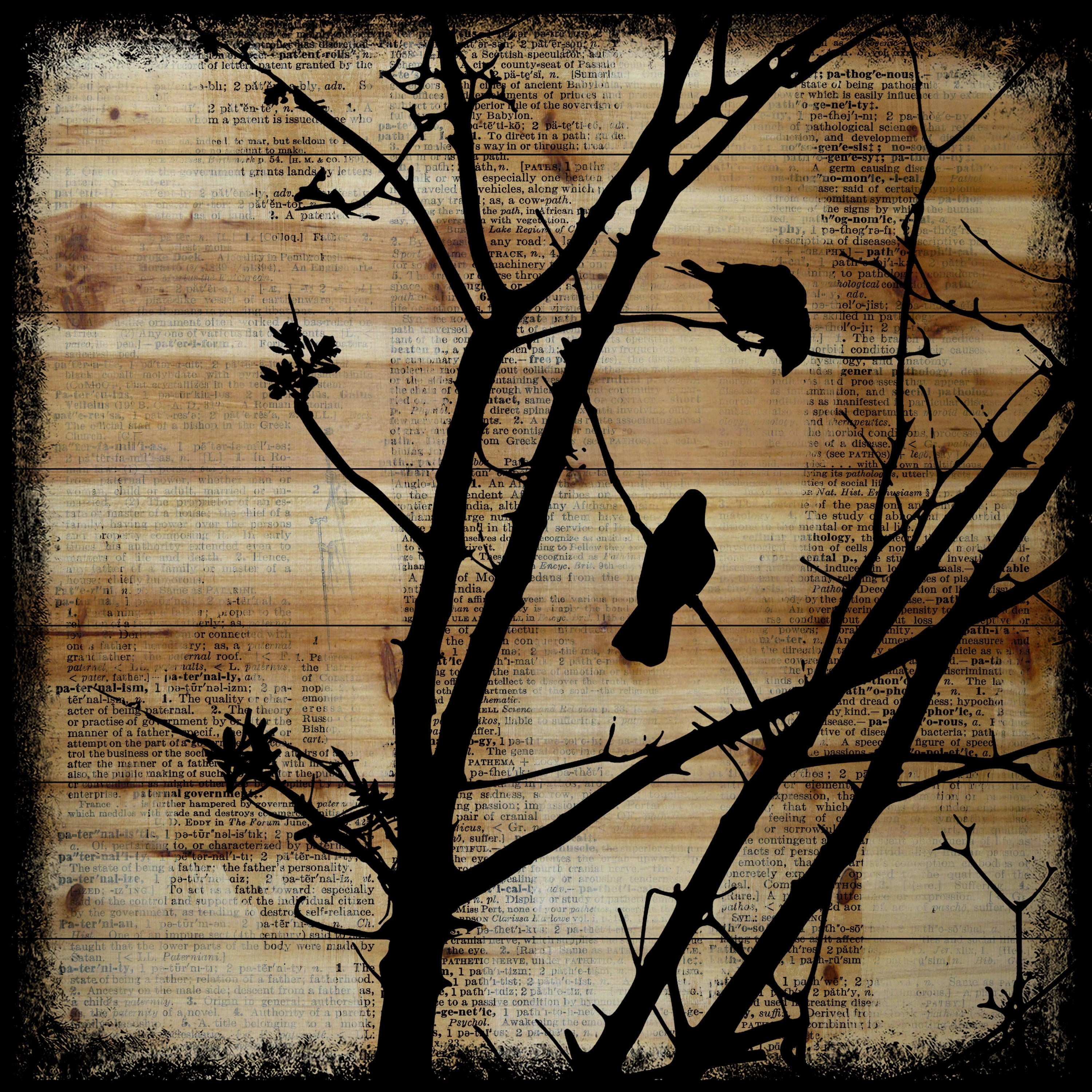 Marmont Hill "Upstairs Neighbor" by Vicki Butler Painting Print on Natural Pine Wood