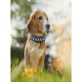 thumbnail image 4 of Spiked Dog Collar,PU round head anti bite pet collar with cool rivet nails and bullet heads, punk style cat and dog collar, for Small Medium Large Dogs Male Cats Goat, 4 of 9