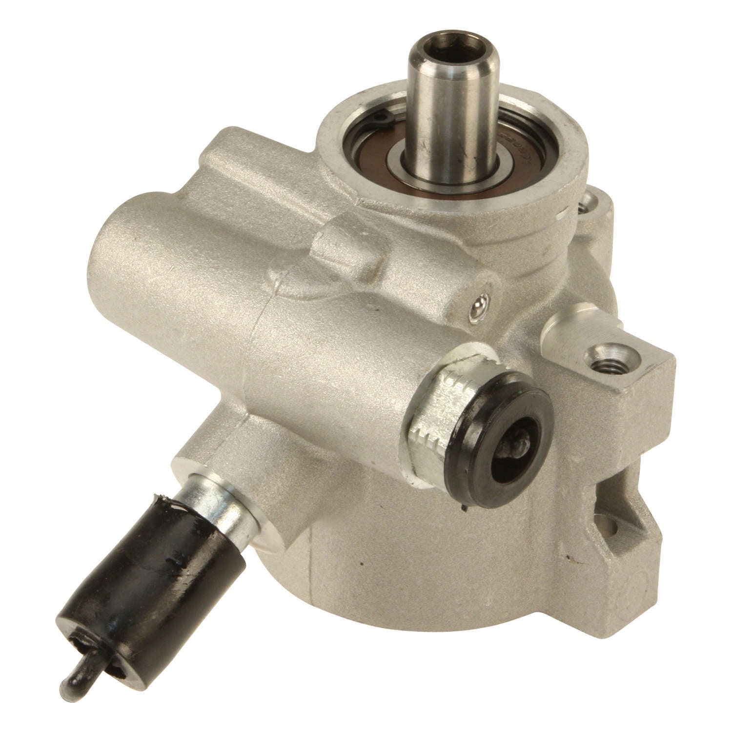 Professional Parts Sweden 100 New P/S Pump