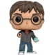 thumbnail image 4 of Funko Harry Potter Figura pop de Harry con Profecía (BD), 4 of 10