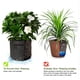 thumbnail image 4 of s de de tela negra piezas, bolsas de plantas transpirables, plantas inteligentes de 2 galones CUTICAT Contenedor de cultivo de patatas de tela, 4 of 8