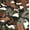 Camo, variant on Keet Roundy Faux Fur Children's Chair, Multiple Patterns