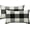 Black and White, variant on Halloween Pack of 2 Classic Retro Checkers Plaids Polyester Linen Soft Solid Black and White Decorative Throw Pillow Covers Home Decor Outdoor Cushion Case for Sofa Bedroom Car 12 x 20 Inch