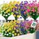 thumbnail image 1 of Flores artificiales TURNMEON para decoración de exteriores, 20 unidades, 1 of 7