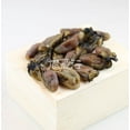 thumbnail image 4 of XLSEAFOOD AAA Grade Sun Dried Hiroshima Oyster from Japan 美国旭龙行 特级日本广岛传统蚝豉蠔豉 (#120-8oz), 4 of 5