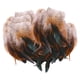 thumbnail image 5 of 50 plumas para manualidades, plumas de colores, accesorios para manualidades, plumas decorativas. Negro, 5 of 9