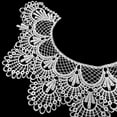 thumbnail image 6 of SPRING PARK Floral Lace Embroidered Neckline Neck Collar Dress Clothes Sewing Applique, 6 of 7