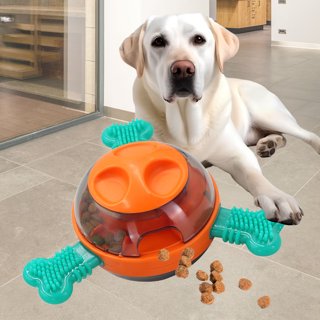 6 Great Food Dog Puzzle Toys – Dogster