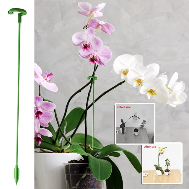 XWSHYW Herramientas para El Hogar Soporte Especial para Flores Suculentas Phalaenopsis, Soporte para Plantas En Maceta con Forma de Flor, Varilla de Soporte Fija, Protector de Hojas Antiencamado