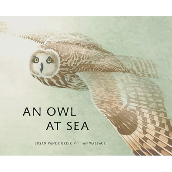 An Owl at Sea, (Hardcover)